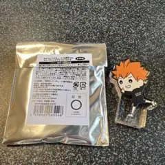 ハイキュー　たすっこトレーディングアクリルブロック日向翔陽