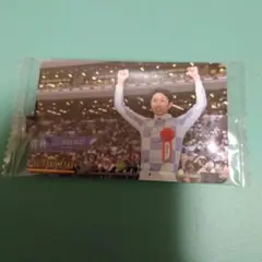 まねき馬　2631　武豊