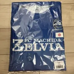 Item thumbnail for item 5e058af5-3216-4c81-8688-8bf59b3f121b