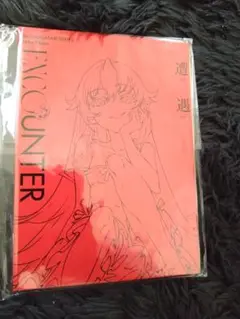＜受注生産限定＞物語シリーズ ✕ Mika Pikazo サイン入り色紙