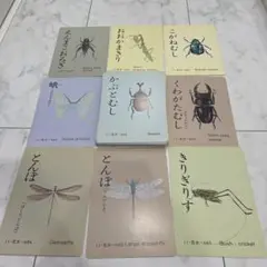 昆虫カード　家庭保育園