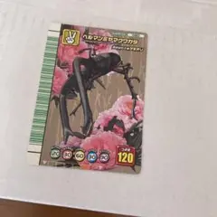 2025年最新】ヘルマンミヤマクワガタの人気アイテム - メルカリ