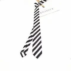 Item thumbnail for item 52f65a37-f7ac-4802-9e6d-fb033db37bff