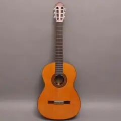 2025年最新】MORRIS B 12弦の人気アイテム - メルカリ