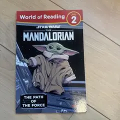 Star Wars The Mandalorian