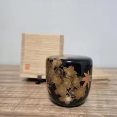 Item thumbnail for item 3c45c732-d4c3-4436-b2ff-9aa11c17409b
