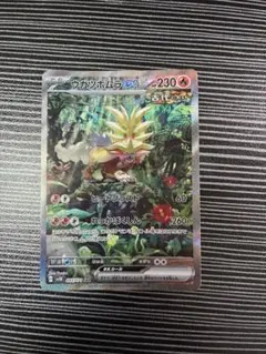 ウガツホムラ ex sar
