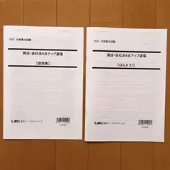 2025年　LEC 行政書士55点アップ道場　 横溝講師　商法・会社法　レジュメ