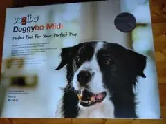 ドギボーミディ Doggybo Midi チョコレートブラウン