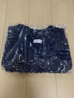 埼玉西武ライオンズ　来場者限定配布品　ポップコーンバッグ