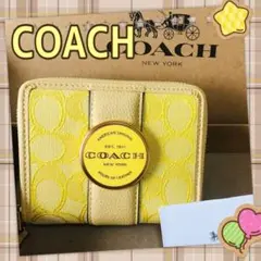 COACH 折り財布 コンパクトファスナー イエロー