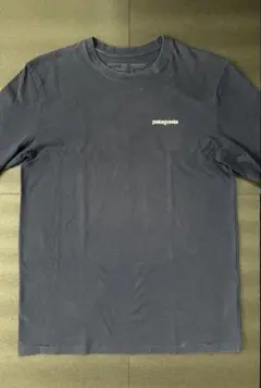 Patagonia P-6 Logo Responsibili-tee LS