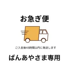 ばんあやさま専用