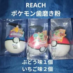 特価　未開封　REACH ポケモン　歯磨き粉　ポンプタイプ　３個　撮影分一式