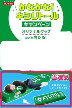 【当選品】　ロッテ　キシリトール　スティックガム　クッション　抱き枕　送料込