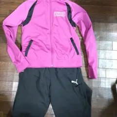 プーマ　ジャージ上下　女児　150cm