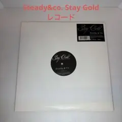 Steady & Co. CHAMBERS レコード Steady & Co. – Chambers – 2 x Vinyl (12