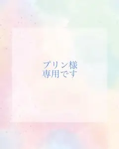 プリン様　専用です