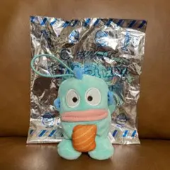 サンリオ スシロー×はぴだんぶい マスコット ハンギョドン
