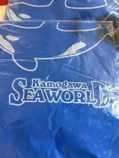 Item thumbnail for item 1d5b8324-7f2b-4058-bd72-b16c3427e344