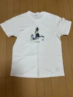 Item thumbnail for item a1f1f6e3-49f9-4f20-aa5e-0fcb4a02e256