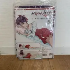 清水空翔描き下ろしグッズ初回限定版アクリルフィギュア付きねこ娘添い寝抱き枕カバー