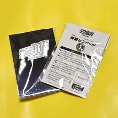 CITY HUNTER 映画前売り特典ピンバッジ