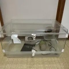 Item thumbnail for item f0dfd9c4-b44b-4a2a-9876-1cf4dce5e6df