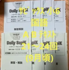 サピックス 小6 国語 A・B テキスト 読解 平常 後期 21回 〜 24回