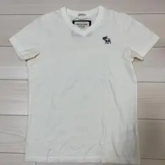 Abercrombie & Fitch VネックTシャツ S