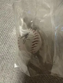 阪神タイガース ミニサインボールキーホルダー