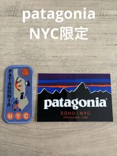 patagoniaニューヨークNYC限定ワッペン！ステッカーおまけ付