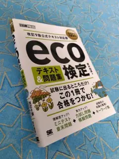 環境社会教科書 eco検定 テキスト&問題集 改訂9版公式テキスト対応版