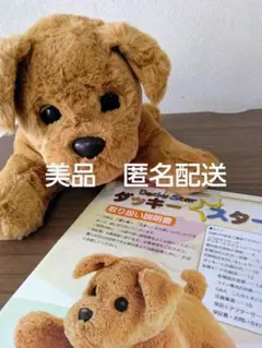 【美品】ダッキースター ぬいぐるみ 説明書有り 美品】ダッキースター ぬいぐるみ 説明書有り 乾電池付 - メルカリ