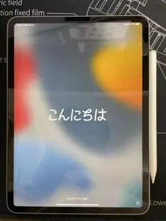 iPad Pro 11-inch Wi-Fi + Cellular 256GB
