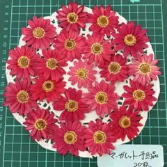 こちらは見本です