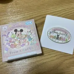 ディズニーシー　ピンバッジ　シークレット