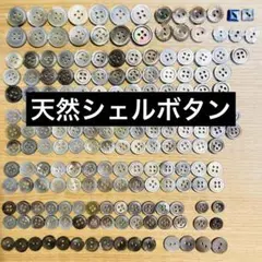 多様なシェルボタンセット