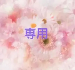 キャラさん専用