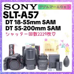 Item thumbnail for item d104d6ea-9519-4a2c-9176-8979e798ce90