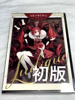赤倉 画集 Ludique 初版 帯付き アニメイト特典