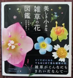 「雑草がこんなにきれいだ！と知って驚く」美しき小さな雑草の花図鑑