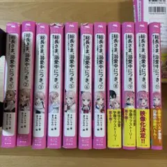 総長さま、溺愛中につき。全11巻セット！