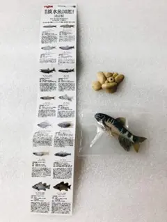 未使用　ユージン　原色淡水魚図鑑Ⅰ　【改訂版】　オイカワ　フィギュア