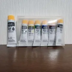 ネイリスト検定　Liquitex アクリル絵の具 6色セット