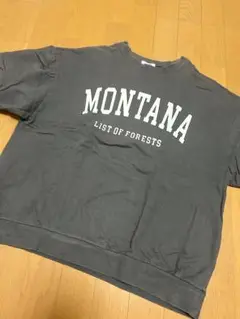 INGNI イング 半袖 Tシャツ ロゴ プリント M グレー系