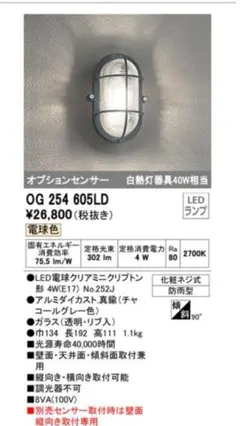 未使用　ポーチライト　OG254605LD