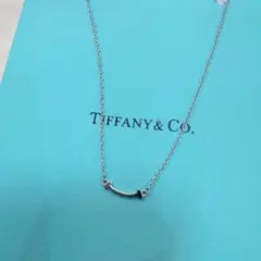 付属品完備 シルバー ネックレスBF コレクション ミニスマイル