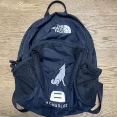 美品！THE NORTH FACE HOMESLICE リュック