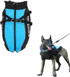 Item thumbnail for item 0df2a622-f1a1-4f4d-be63-9a274f9248f8